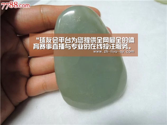 球友会平台为您提供全网最全的体育赛事直播与专业的在线投注服务。高赔率、安全快捷，立即注册体验！